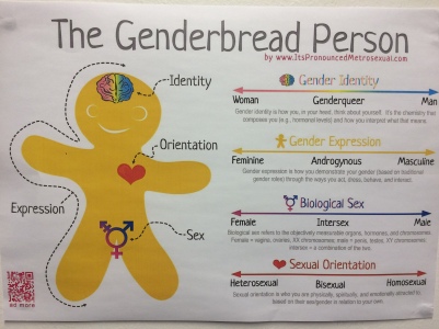 Genderbread Man